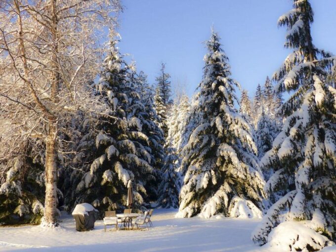 Christmas Charms of Manchester – Private Walking Tour - Piccadilly Gardens