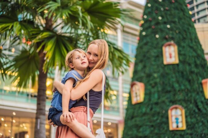 Christmas Discovery in Miami Walking Tour - Tour Language