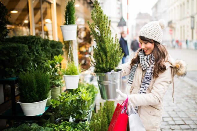 Christmas Experience in Ghent – Walking Tour - Christmas Magic