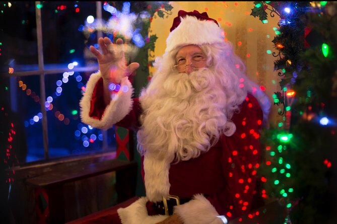 Christmas Holiday Lights NYC Sightseeing Tours With Special Gifts - Recommendations and Warnings