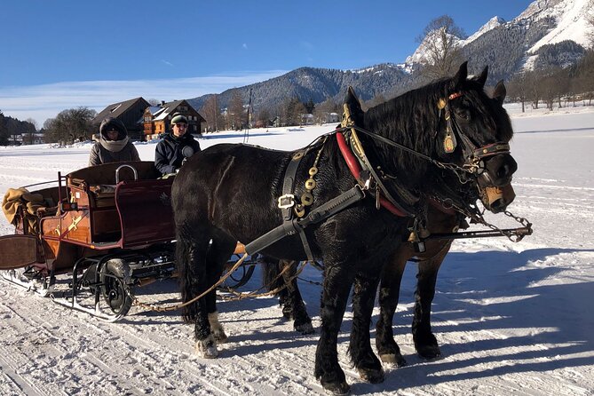 Christmas Horse-Drawn Sleigh Ride From Salzburg - Ramsau Village and Dachstein Mountain
