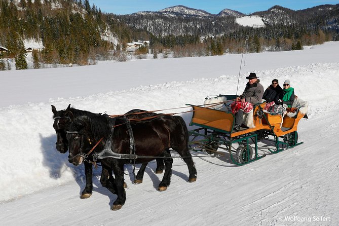 Christmas Horse-Drawn Sleigh Ride From Salzburg - Lunch at a Local Inn