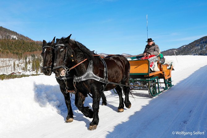 Christmas Horse-Drawn Sleigh Ride From Salzburg - Horse-Drawn Sleigh Ride
