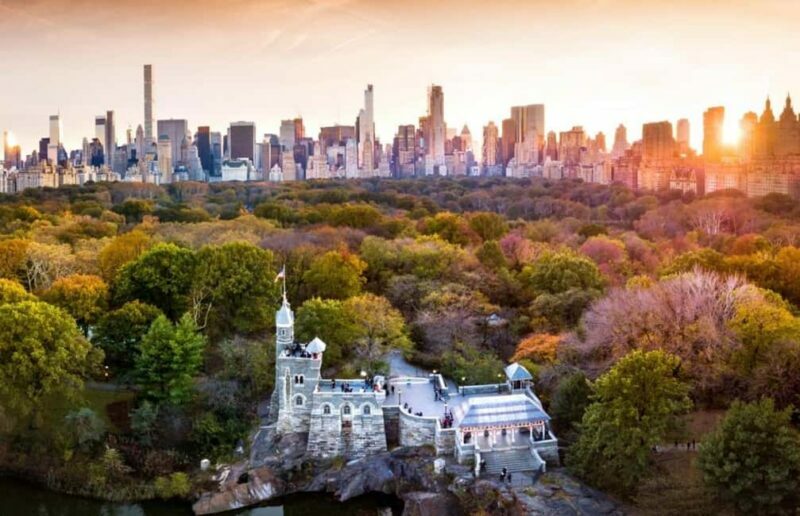 Christmas in Central Park: Horse Carriage Holiday Tour - The Itinerary: What to Expect