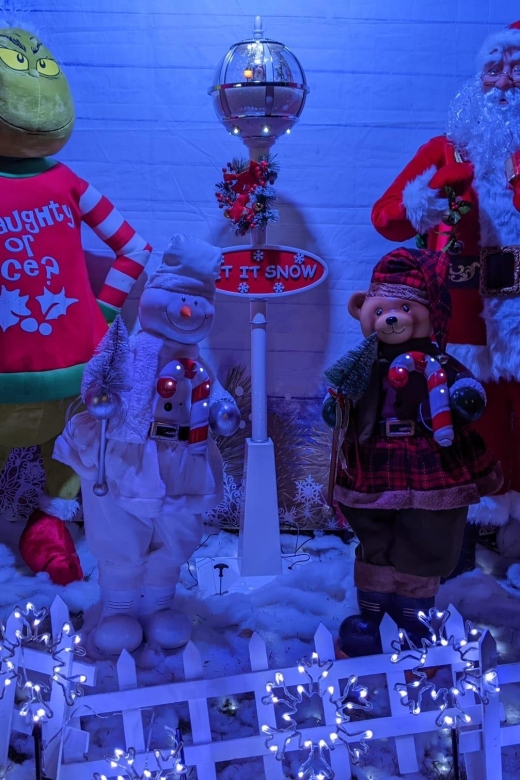 Christmas Light Night Tour - Experience Highlights