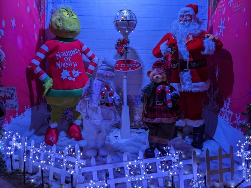 Christmas Light Night Tour - Recommended for Families