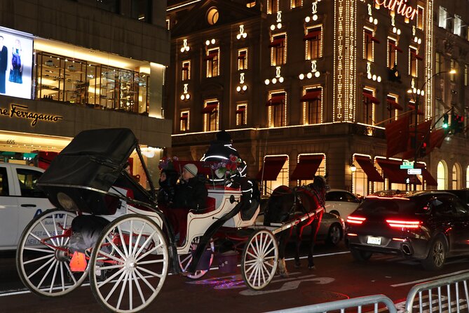 Christmas Light Private Carriage Ride New York City - Private Tour and Cancellation Policy