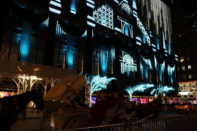 Christmas Light Private Carriage Ride New York City - Professional Guide and Live Support