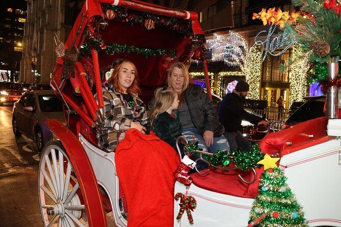 Christmas Light Private Carriage Ride New York City - Capturing Memories With Photos