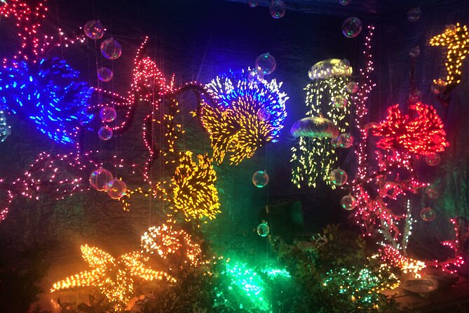 Christmas Lights and Snowflake Lane Photo Tour - Cancellation Policy