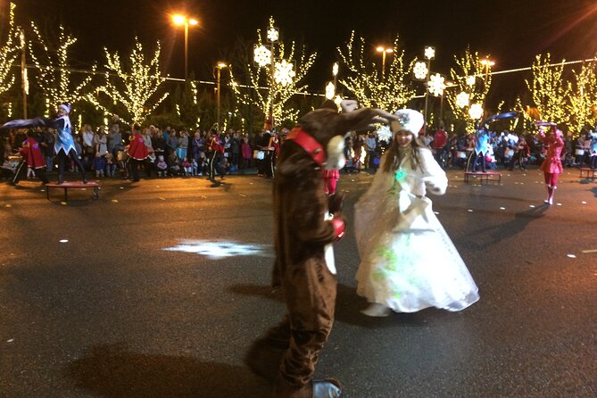 Christmas Lights and Snowflake Lane Photo Tour - Accessibility and Transportation