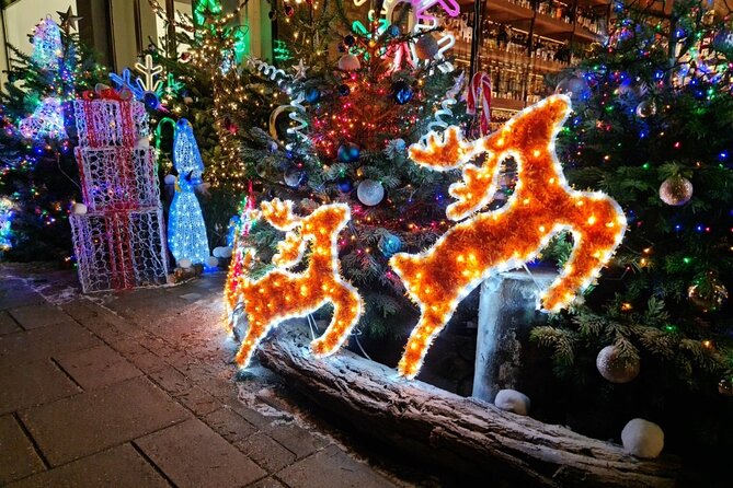 Christmas Lights Bike Tour of London - Additional Information