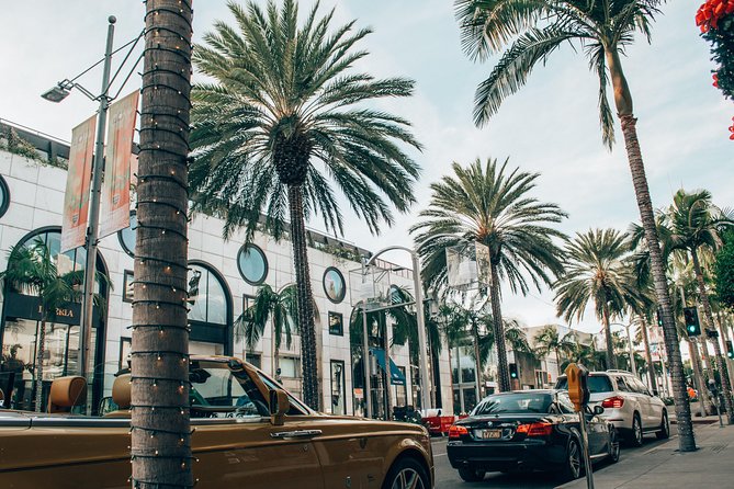 Christmas Lights in Beverly Hills - Private Guide and Free Coffee With Dessert - Expert Local Guidance