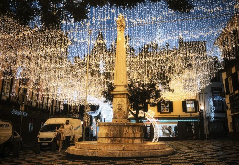 Christmas Lights in Funchal Tuk Tuk Tour - Key Points
