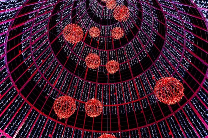 Christmas Lights in Funchal Tuk Tuk Tour - Inclusions