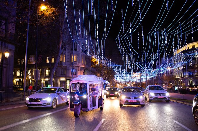 Christmas Lights Tour in Madrid in Private Eco Tuk Tuk - Additional Information