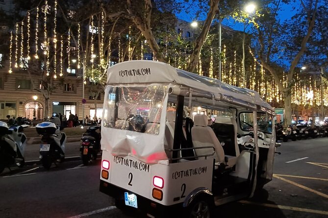 Christmas Lights Tour of Barcelona in Private Eco Tuk Tuk - Accessibility and Accommodations