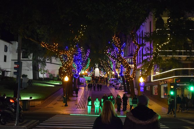 Christmas Lights Tukxi Tour (Price per Tukxi - up to 5 People) - Tour Overview