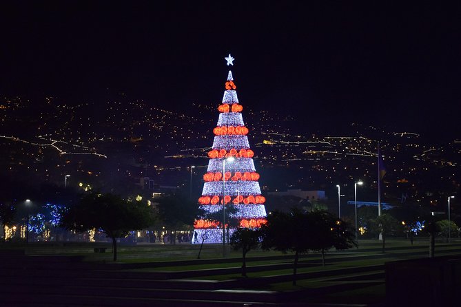 Christmas Lights Tukxi Tour (Price per Tukxi - up to 5 People) - Inclusions