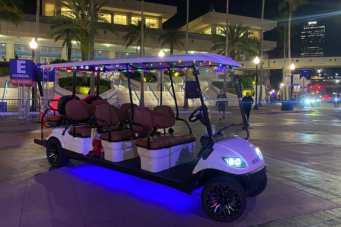 Christmas Lights Wonderland Deluxe Golf Cart Guided Tour in Tampa - Key Points