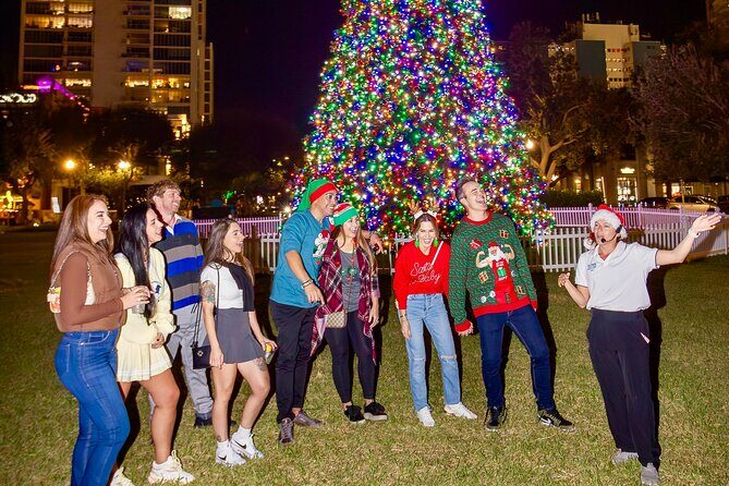 Christmas Lights Wonderland St. Pete Golf Cart Tour - A Detailed Look at the Tour Experience