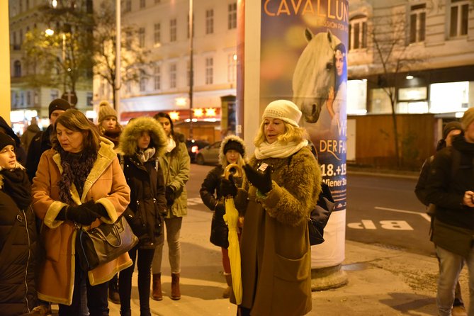 Christmas Market Vienna Tour - Guide Experiences and Reviews