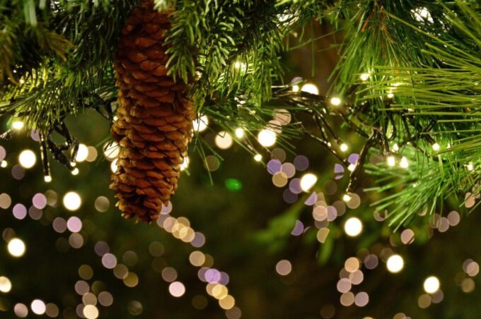 Christmas Tales in Canterbury – Private Walking Tour - Frequently Asked Questions