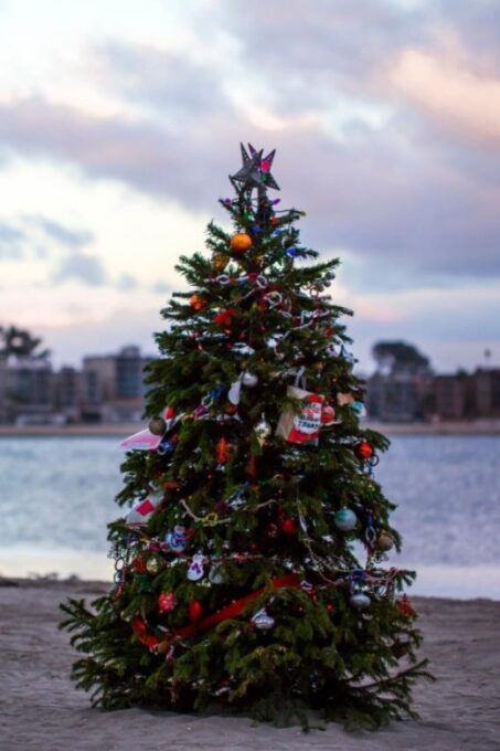 Christmas Time in San Diego – Walking Tour - Tour Features and Meeting Point