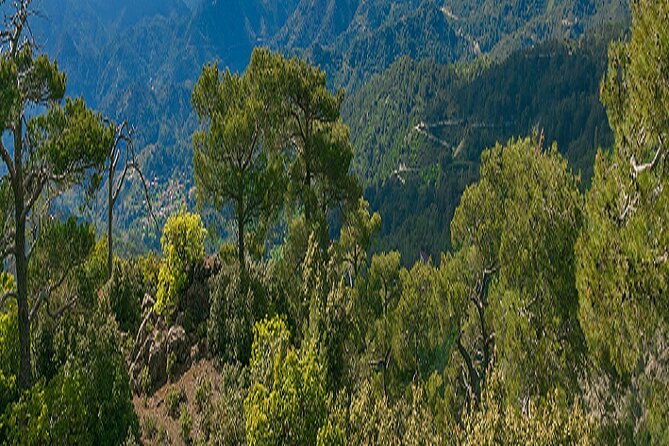 Chrysoroyiatissa, Kykkos, Omodos Day Tour From Paphos - Getting to the Troodos Mountains