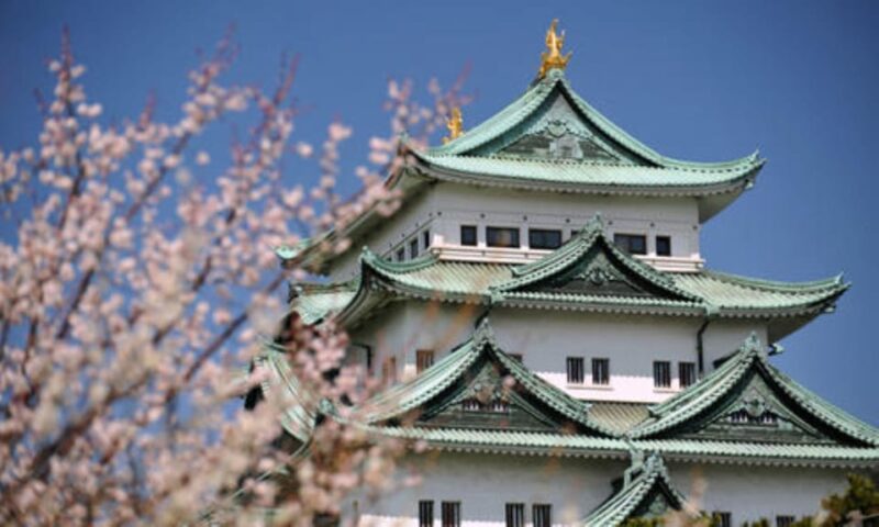 Chubu Airport (Ngo) To/From Nagoya Private Transfer - Service Policies