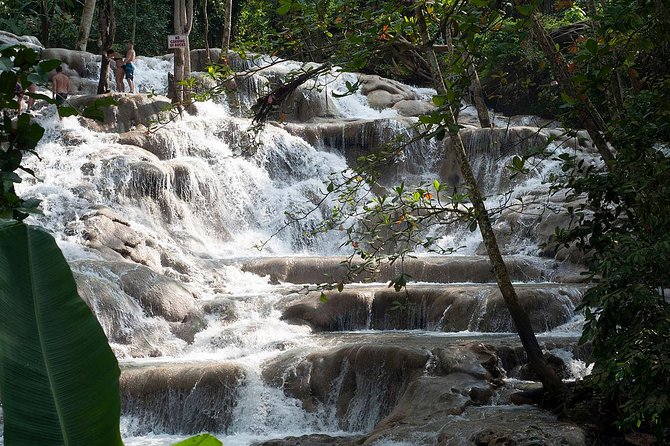 Chuck Norris Secret Falls and Dunns River Falls - Flexible Departure Times