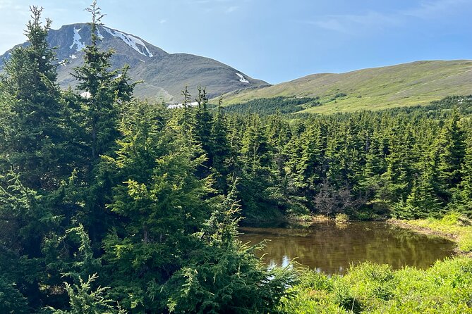 Chugach State Park Nature Walk - Health and Medical Considerations