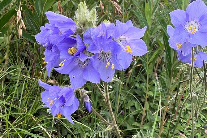 Chugach State Park Nature Walk - Transportation and Accessibility