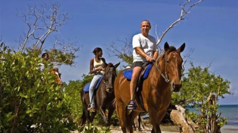 Chukka Horseback Ride & Swim From Montego Bay - Customer Reviews