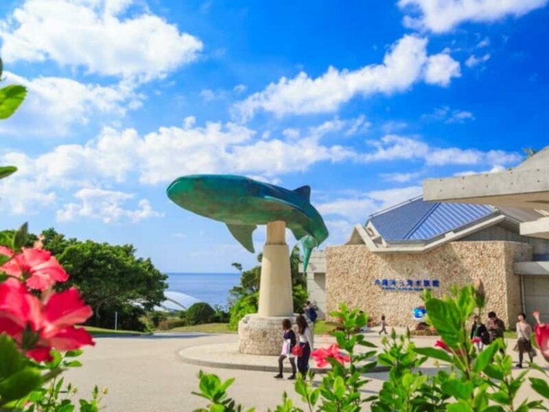 Churaumi Aquarium, Cape Manzamo, American Village - Key Points
