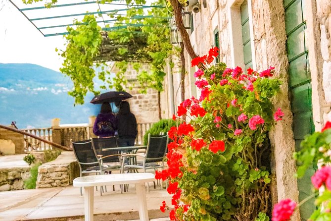 Church of St. Mary 1774, Church of St. Roko, Tivat, Rose Full Day Tour From Kotor - Cancellation Policy