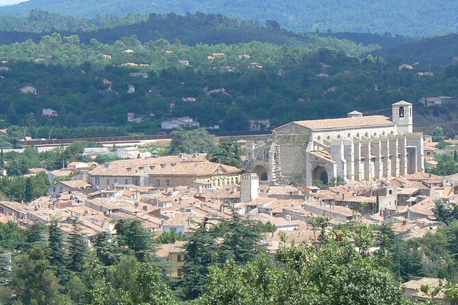 Churches of Provence & French Countryside Private Tour - Accessibility Information