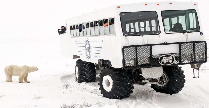 Churchill: Exclusive Tundra Buggy Day Trip - Key Points