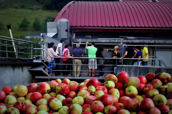 Cider House Experience From San Sebastian - Positive Guest Reviews
