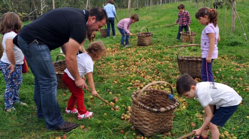 Cider House Experience From San Sebastián - Frequently Asked Questions