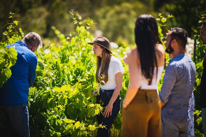 Cider, Wine & Whiskey Tour: Small Group Full-Day Tour From Perth - Premium Boutique Wineries