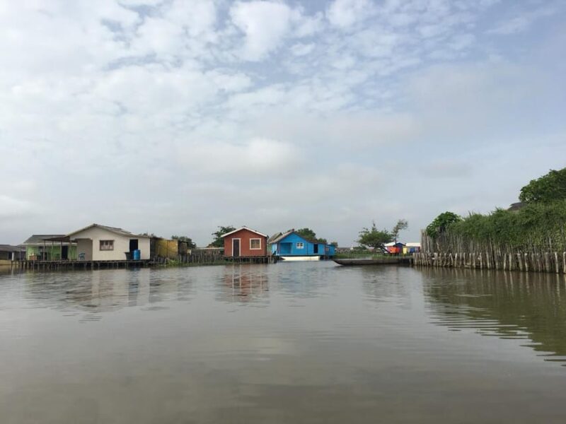 Cienaga Grande in Santa Marta - Inclusions