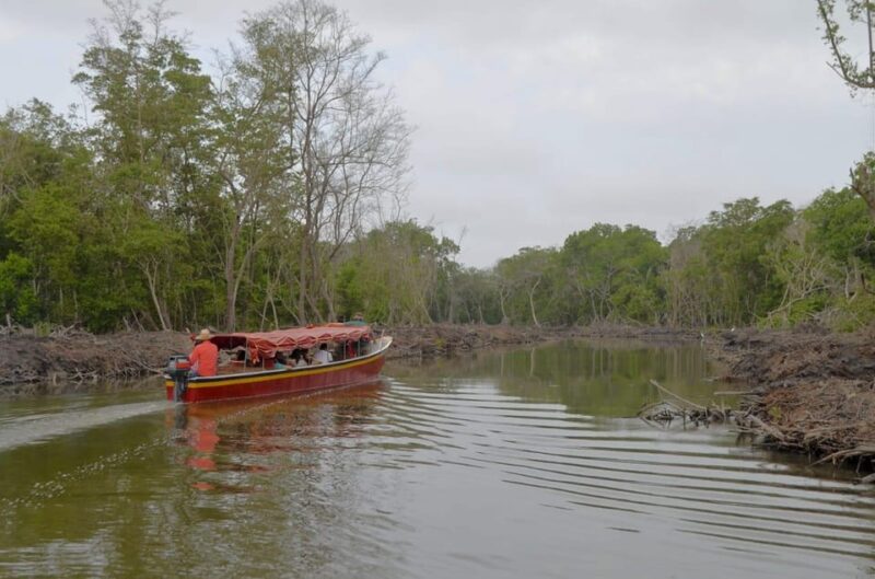 Cienaga Grande in Santa Marta - Preparation and Recommendations