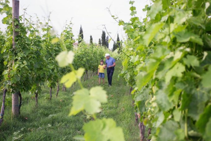 Cilento Wine: Tour & Tasting Experience - Frequently Asked Questions