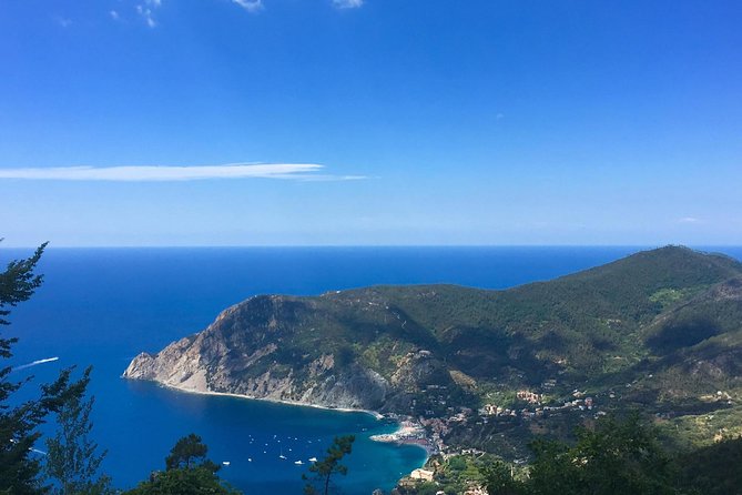 Cinque Terre and Pisa Private Tour From Livorno - Included Services