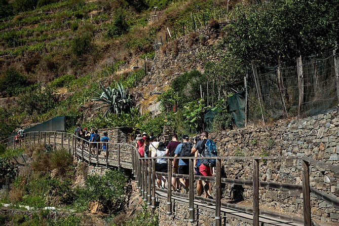 Cinque Terre Day Trip From Florence With Optional Hiking - Itinerary