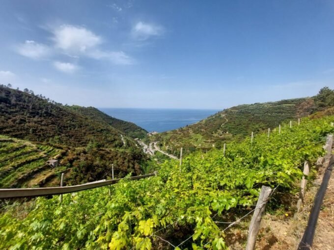 Cinque Terre From Riomaggiore to Manarola and Vineyards - Cancellation Policy