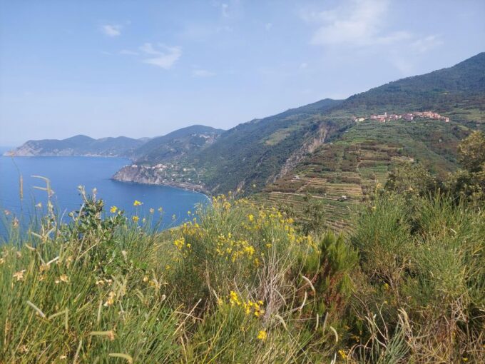 Cinque Terre From Riomaggiore to Manarola and Vineyards - Frequently Asked Questions