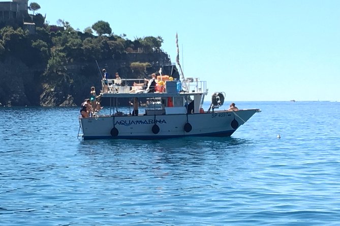 Cinque Terre Lunch Boat Tour - Accessibility and Accommodations