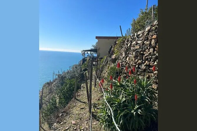 Cinque Terre: Pesto Cooking Class With Sea View in Riomaggiore - Pesto Preparation Methods